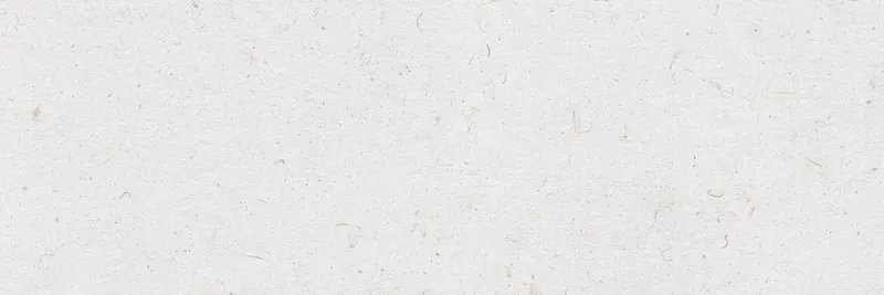 Lino — 3