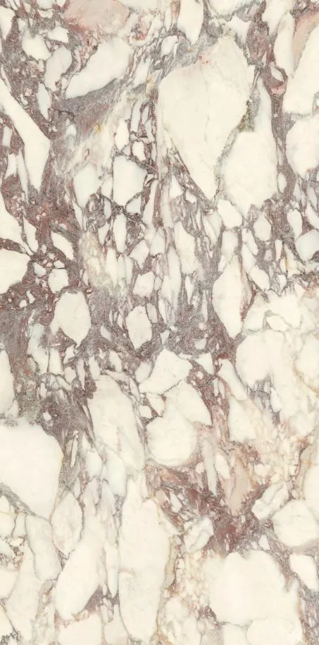 PL612671 Calacatta Viola Luc Ret 60x120 — 6