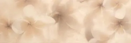 Decor Seda Beige — 1