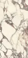 PL612671 Calacatta Viola Luc Ret 60x120 — фото 5