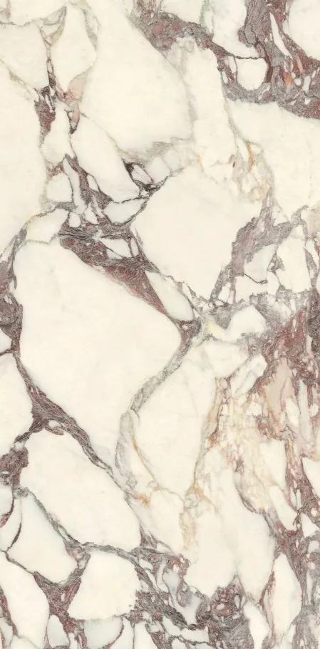 PL612671 Calacatta Viola Luc Ret 60x120 — 5