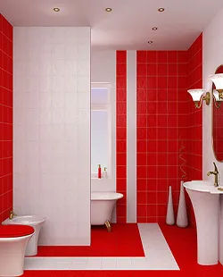 Beta Ceramicalcora — 7