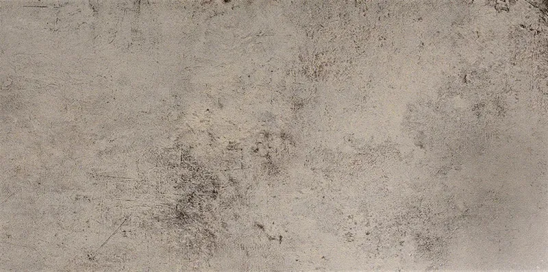 Evolution Gris Lapp — 1