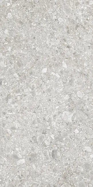 R-Gris 60x120 — 1
