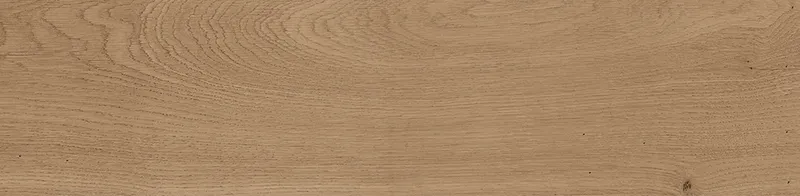 Forest Natural — 1