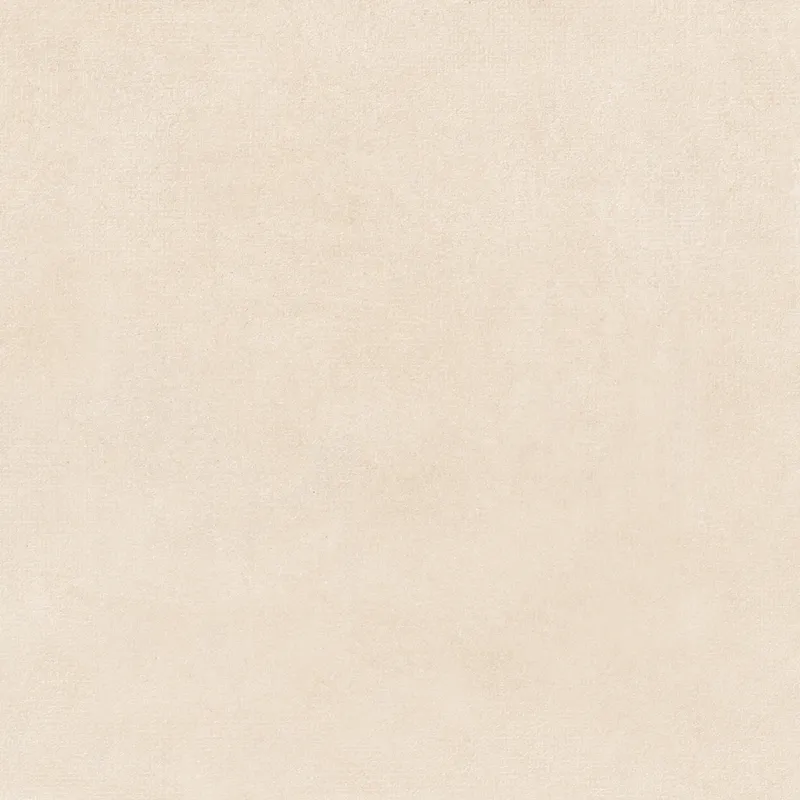 Standard Arena — 1
