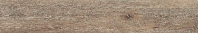 Brown DA04/19 — 10