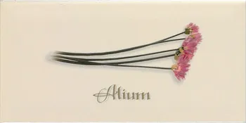 Decor Crema Alium — 1