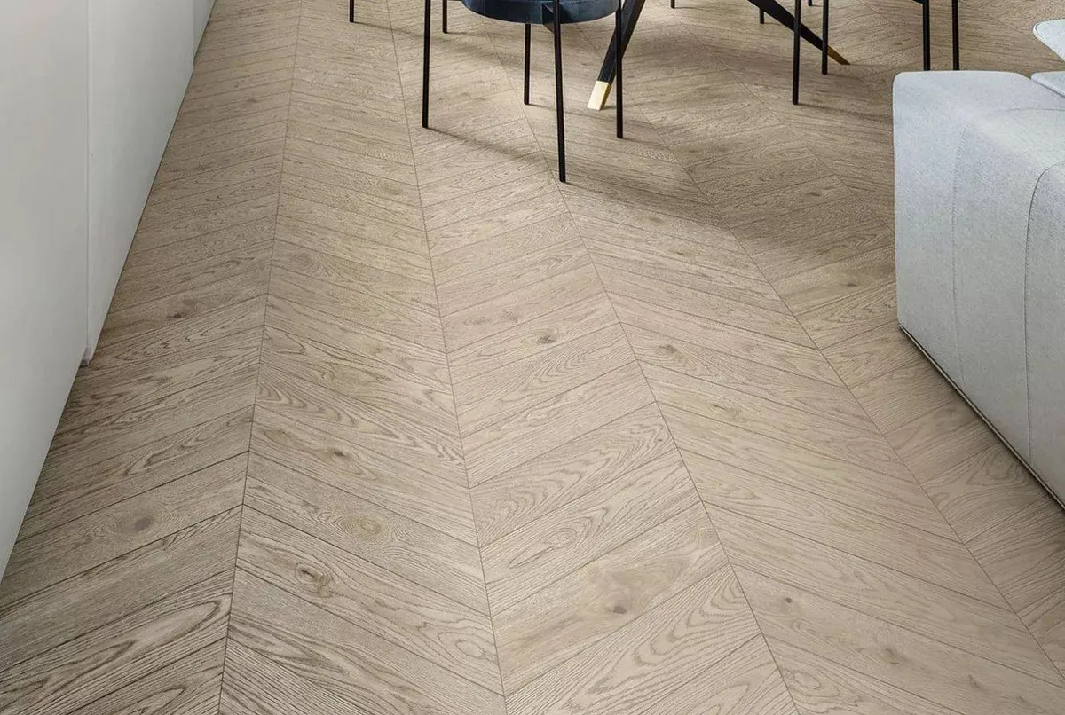 Vivo Ragno — 2