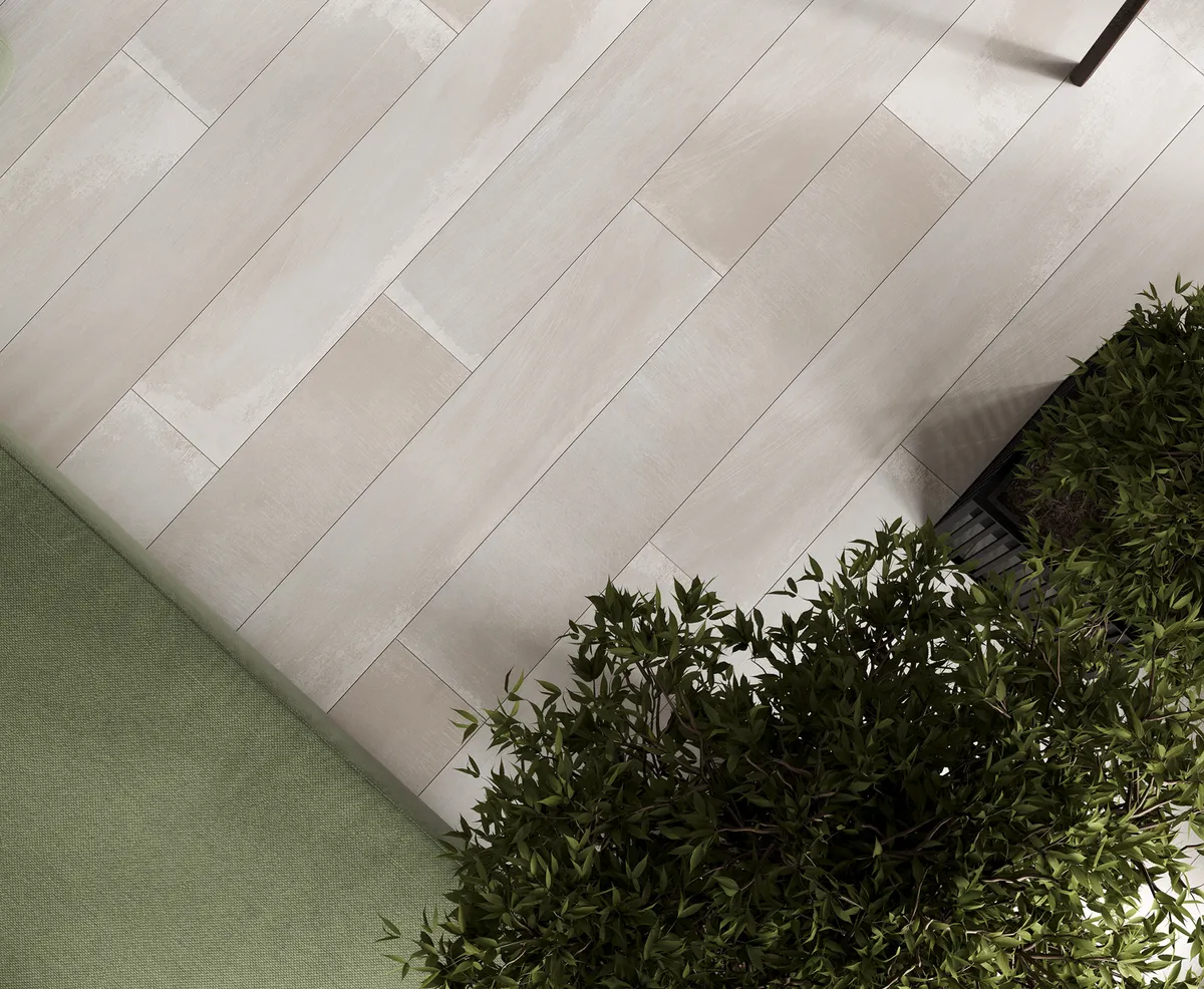 Spanish White Laparet — 2