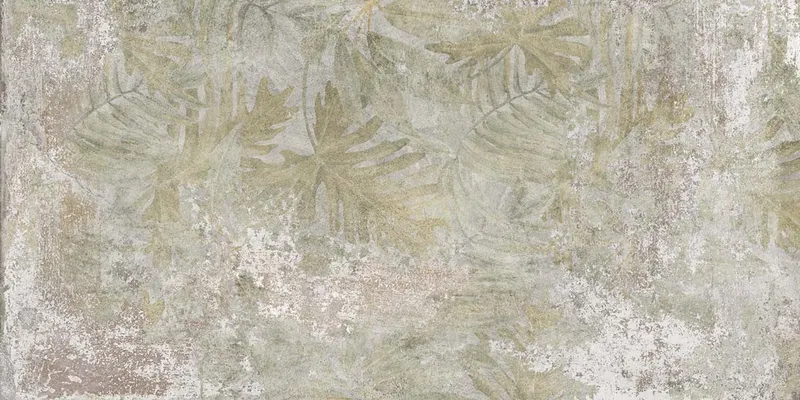 PF60004903 Oasis — 1
