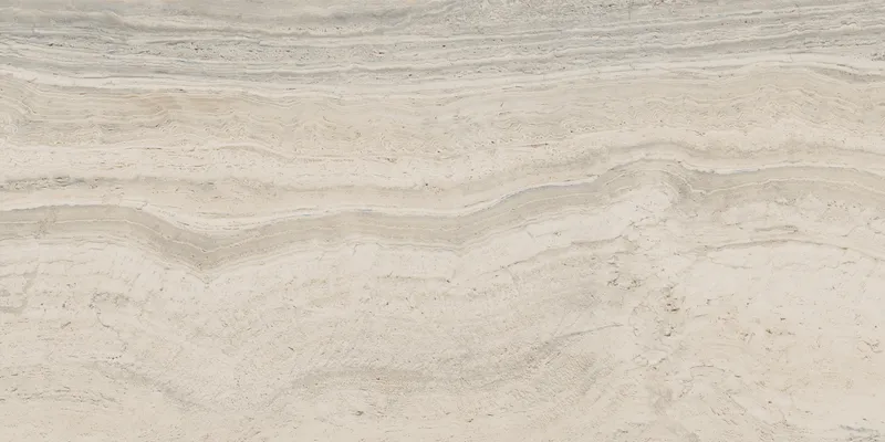 PF60005213 Bone Vein — 9