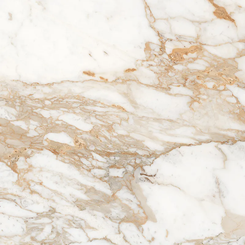 Calacatta Oro 60 матовый — 13