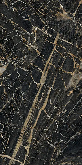 Black Golden — 4