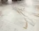 Marble Velvet La Fenice — фото 15