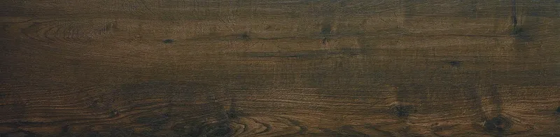 Quercia MJWM — 1