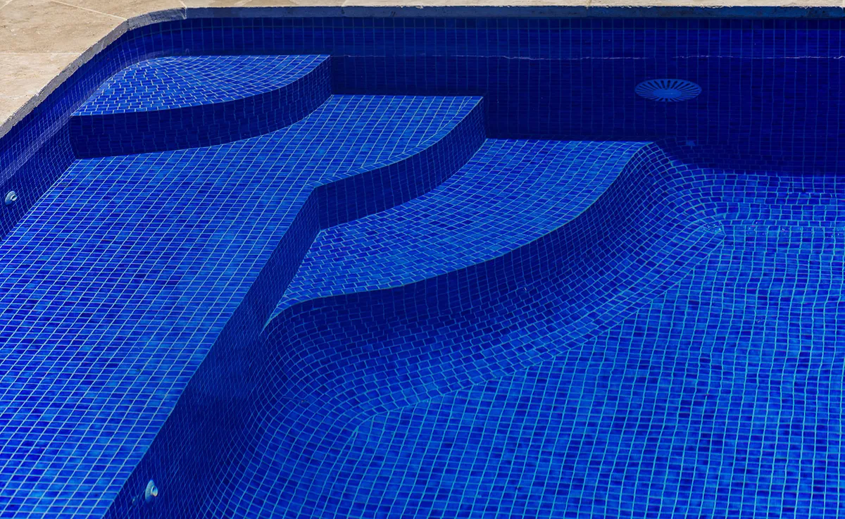 Niebla Ezarri — 49