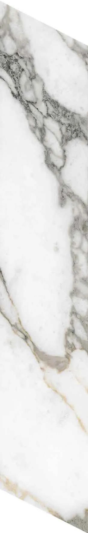 PF60012691 Chevron Bianco Vagli — 18