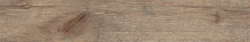 Brown DA04/19 — 13