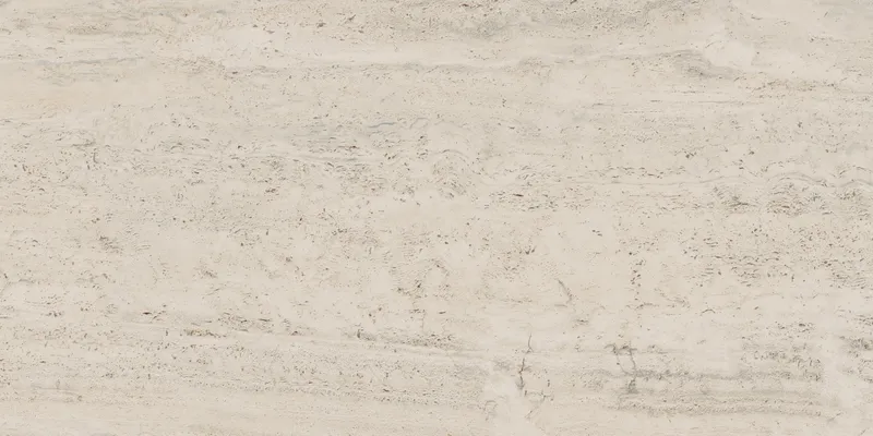 PF60005213 Bone Vein — 11