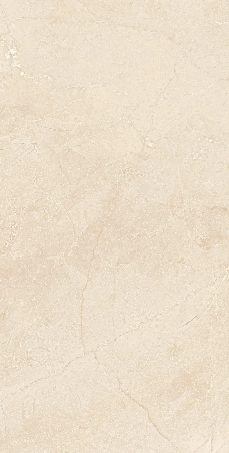 Dark Beige MA03/PS — 8