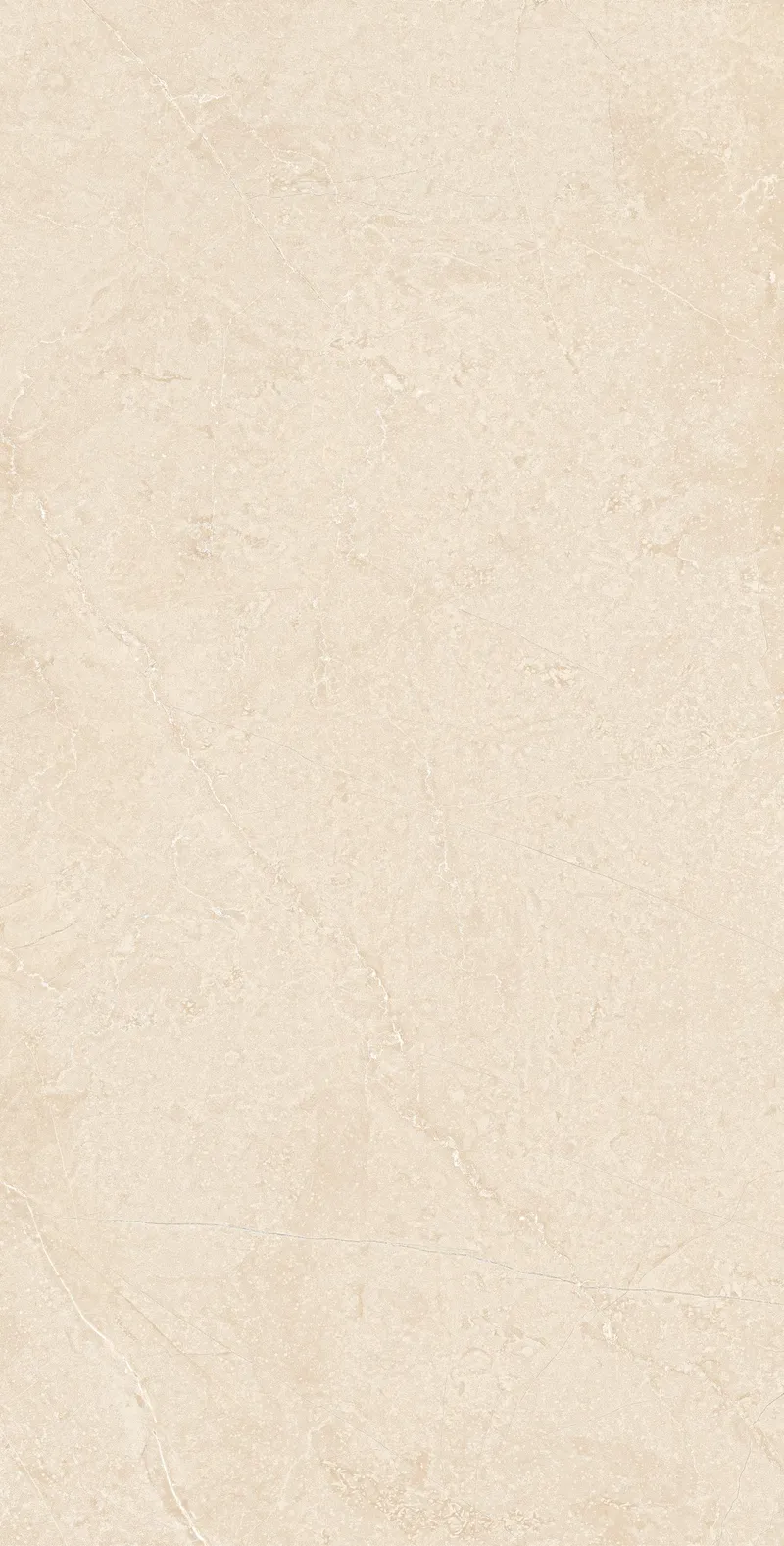 Dark Beige MA03/PS — 5