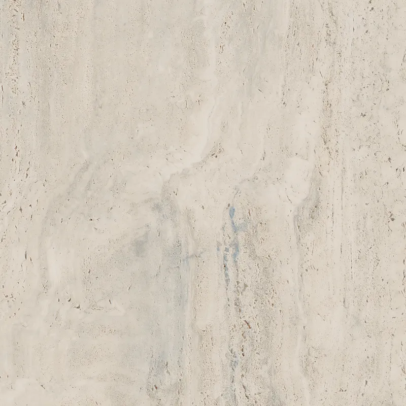 PF60006606 Bone Vein — 8