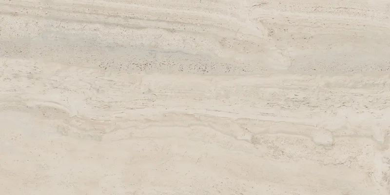 PF60005213 Bone Vein — 12