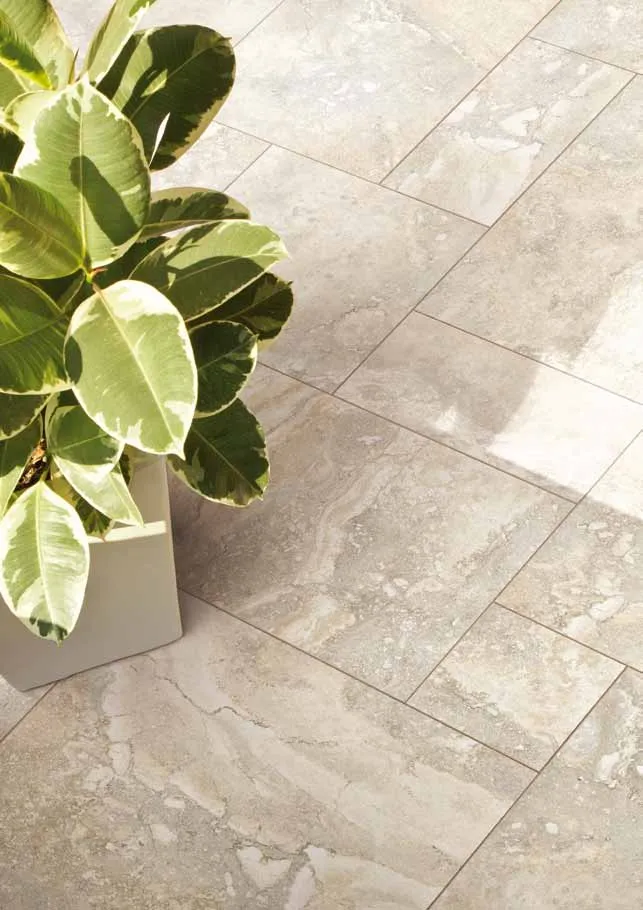 Regis Cerdomus — 3