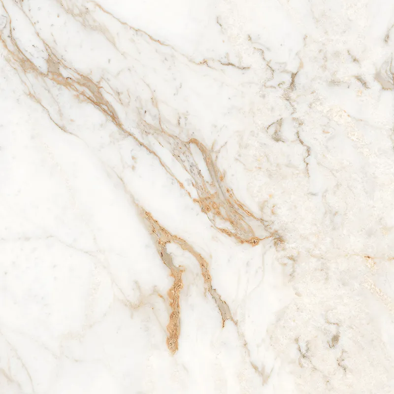 Calacatta Oro 60 матовый — 6