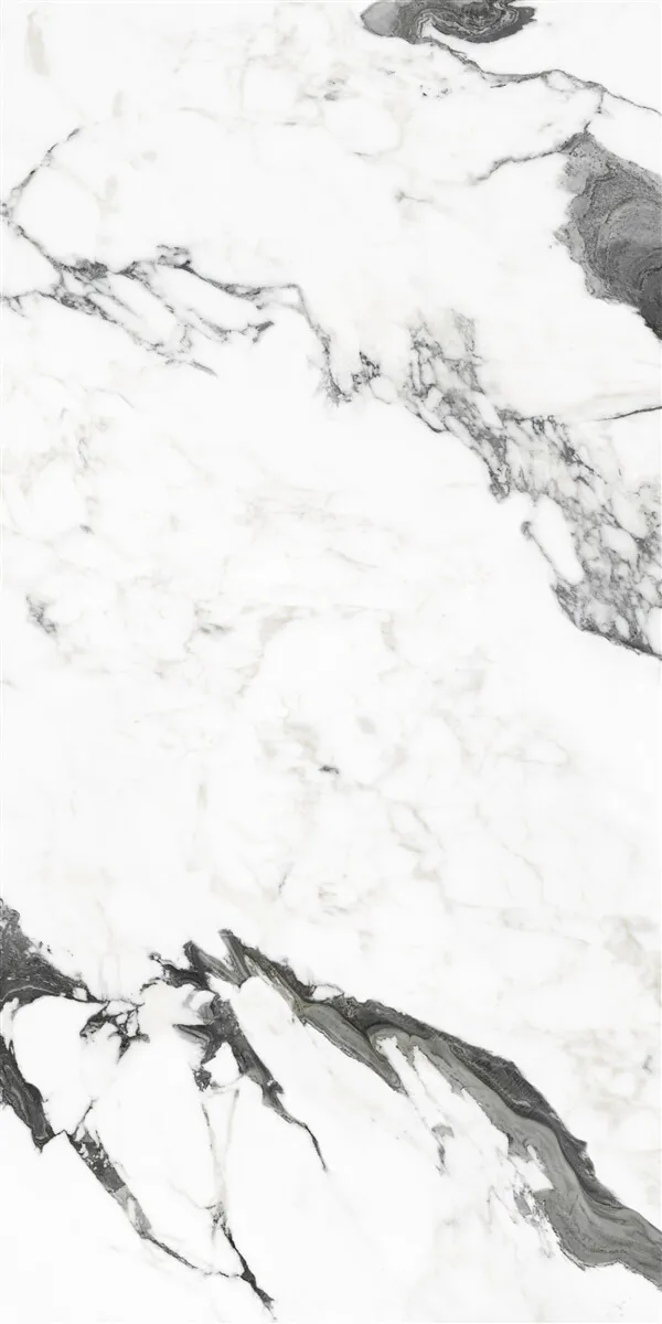 P19707 White — 3
