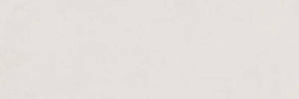 Mixed Bianco Rett. 40x120 — 1