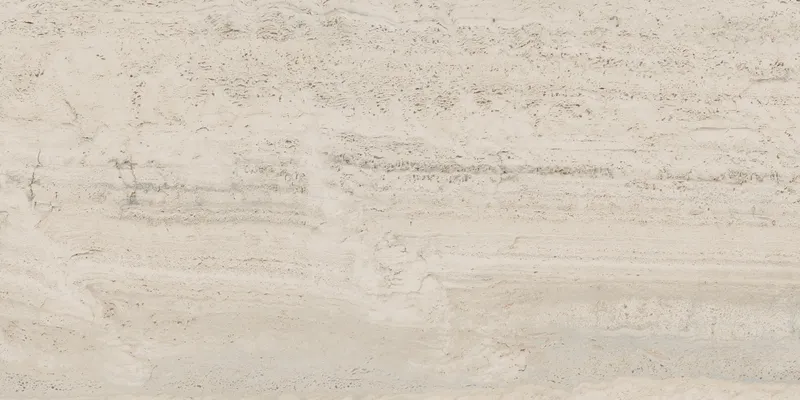 PF60005213 Bone Vein — 2