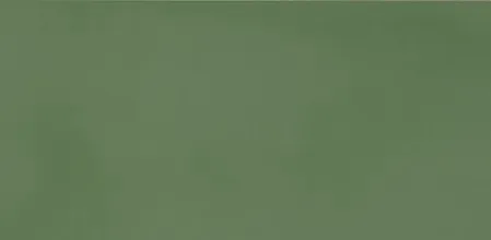 11460134 Green — 1
