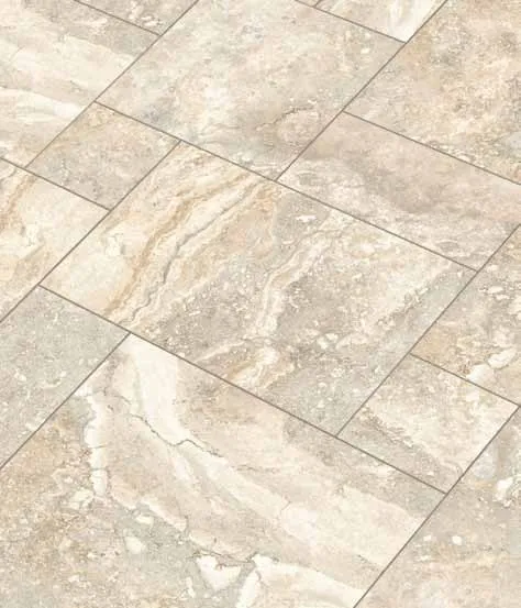 Regis Cerdomus — 6