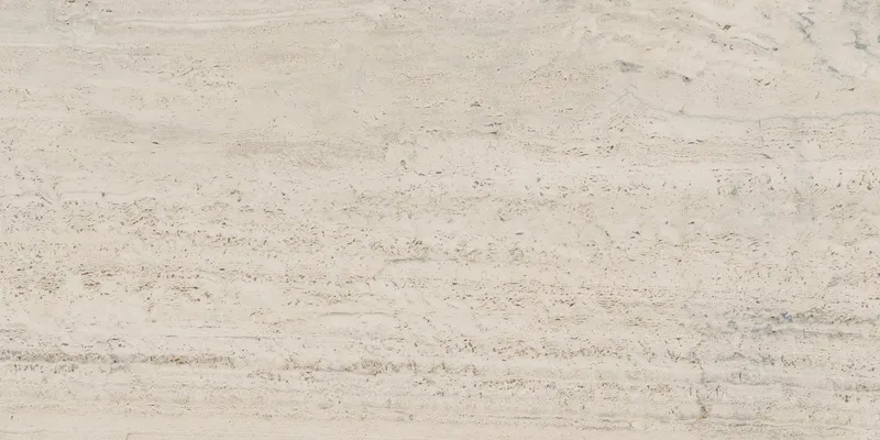 PF60005213 Bone Vein — 3