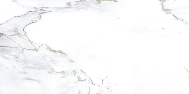 MONSTER WHITE 60х120 — 1