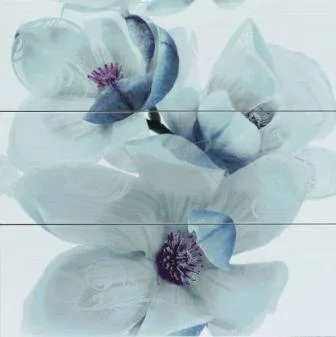 Dec.Niza 806 Azul Set.3 — 1