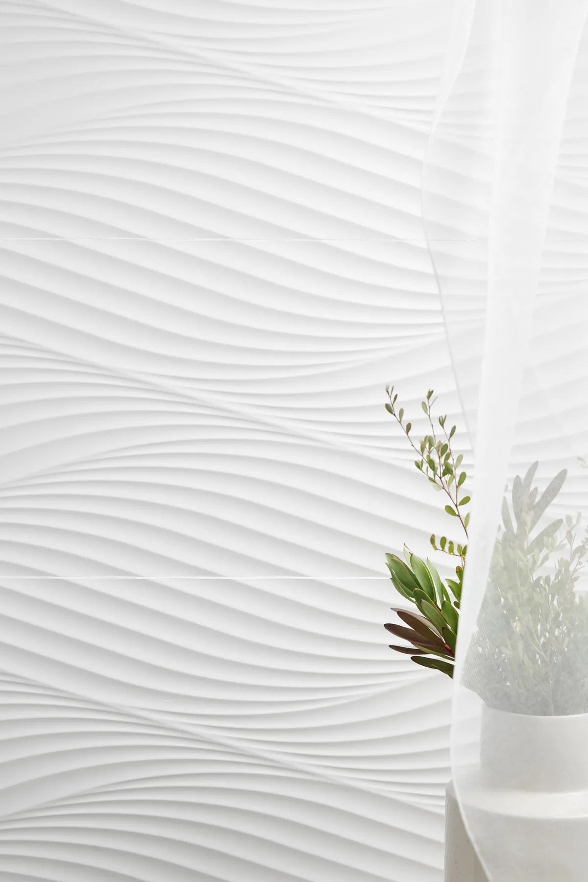 Cotton Peronda — 6