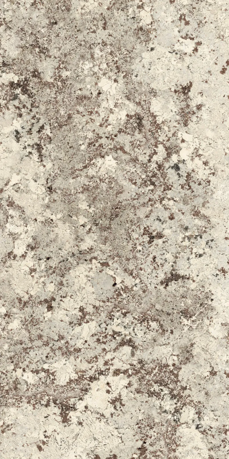 PLP612685 Alaska White Lapp — 1