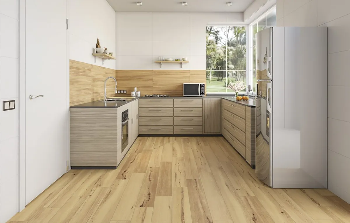 Forest La Platera — 1