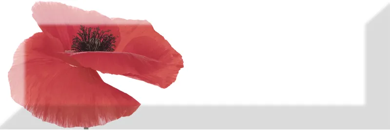 Decor Poppy 01 — 1