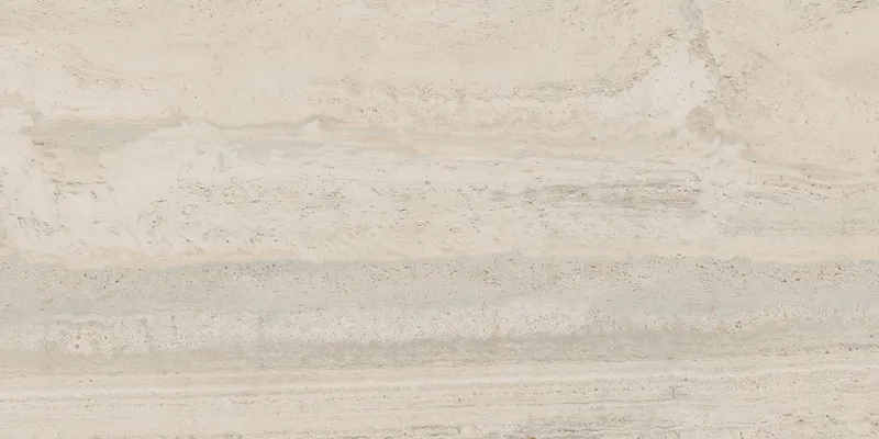 PF60005213 Bone Vein — 10