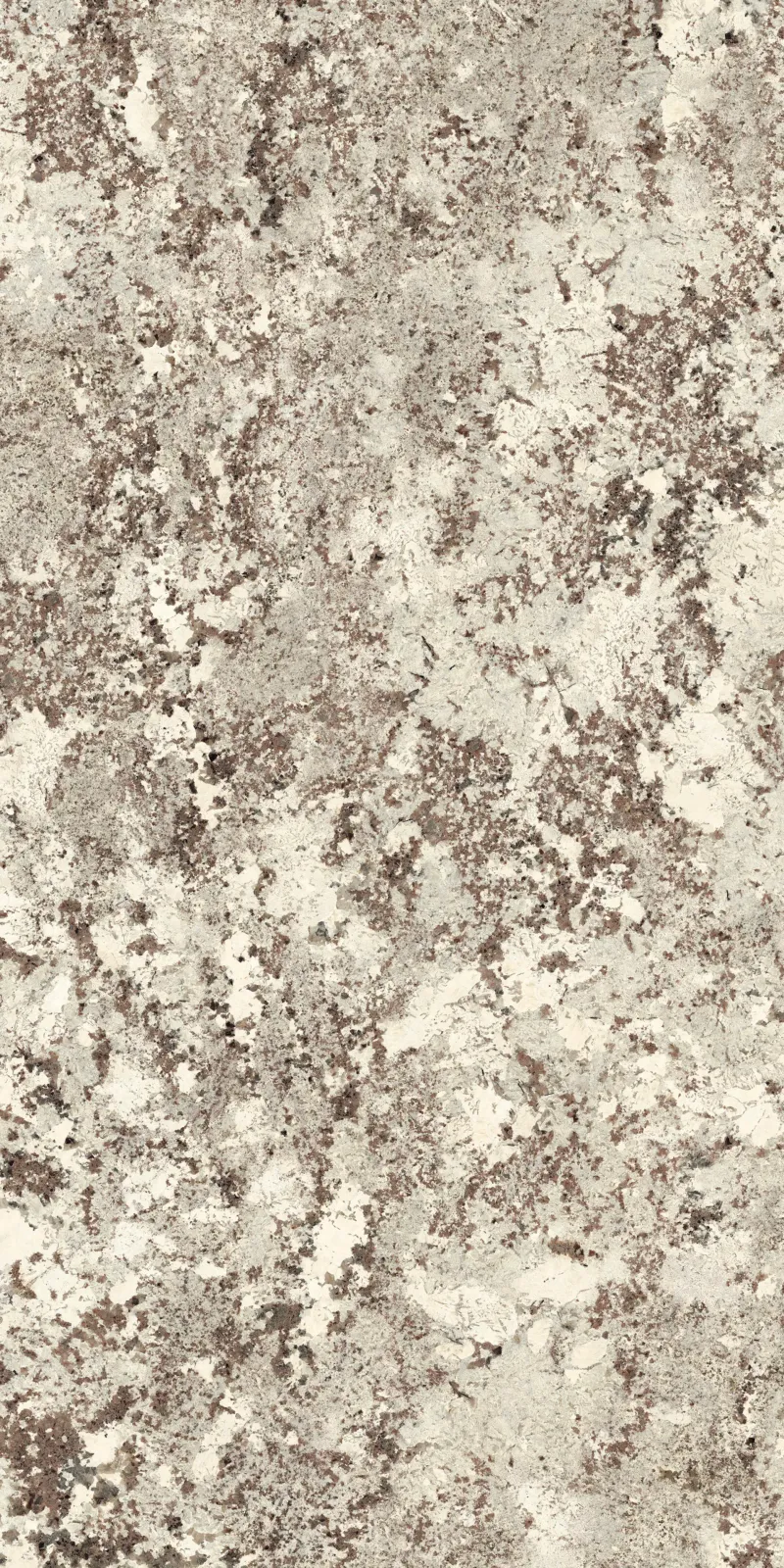 PLP612685 Alaska White Lapp — 3