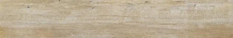 ROVERE PROVENZALE — 1