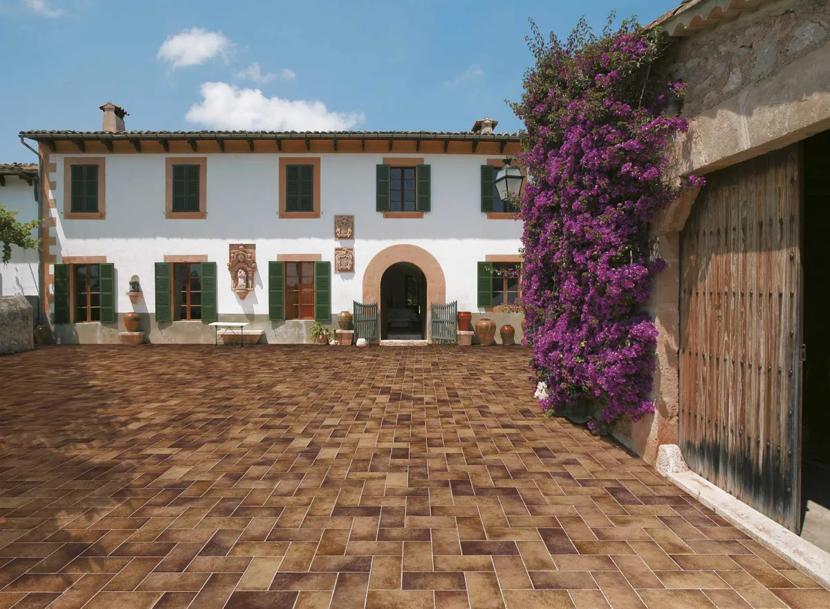 Terre Toscane IL Cavallino — 2