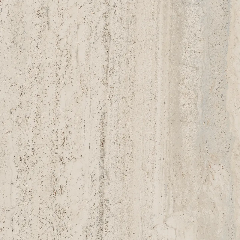 PF60006606 Bone Vein — 5