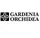 Gardenia Orchidea