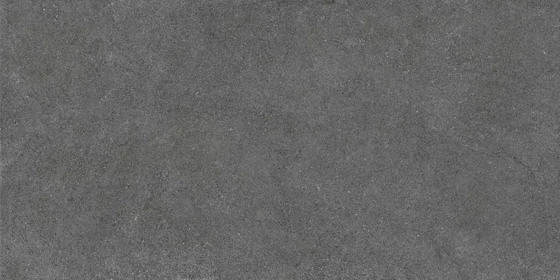 LN03 Luna Темно-серый 60*120 неполированный — 1