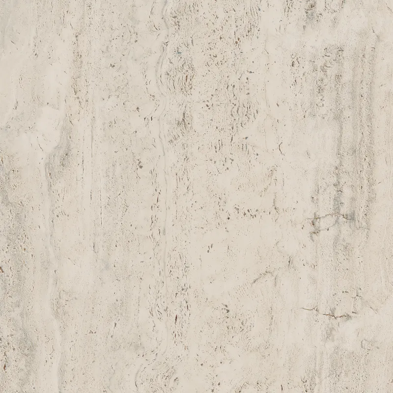 PF60006606 Bone Vein — 11